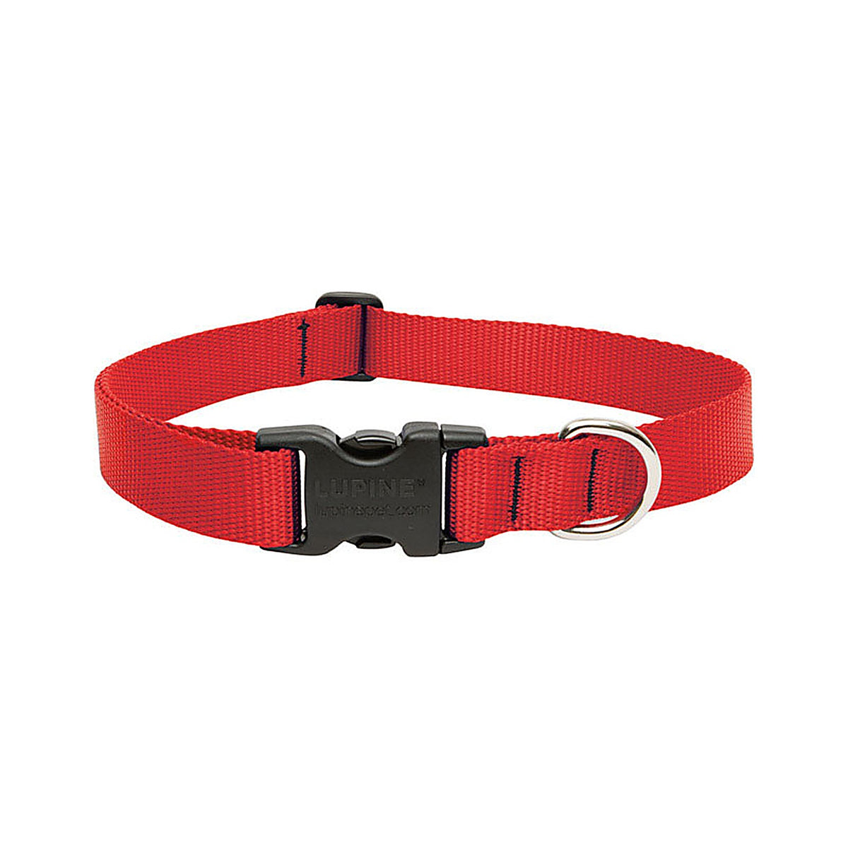 Lupine - 22552 - Pet Basic Solids Red Red Nylon Dog Adjustable Collar