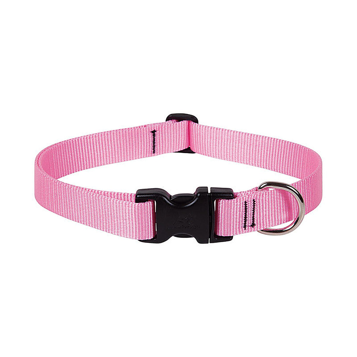 Lupine - 57553 - Pet Basic Solids Pink Pink Nylon Dog Adjustable Collar