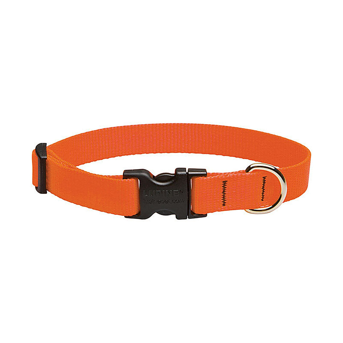 Lupine - 52501 - Pet Basic Solids Blaze Orange Blaze Orange Nylon Dog Adjustable Collar