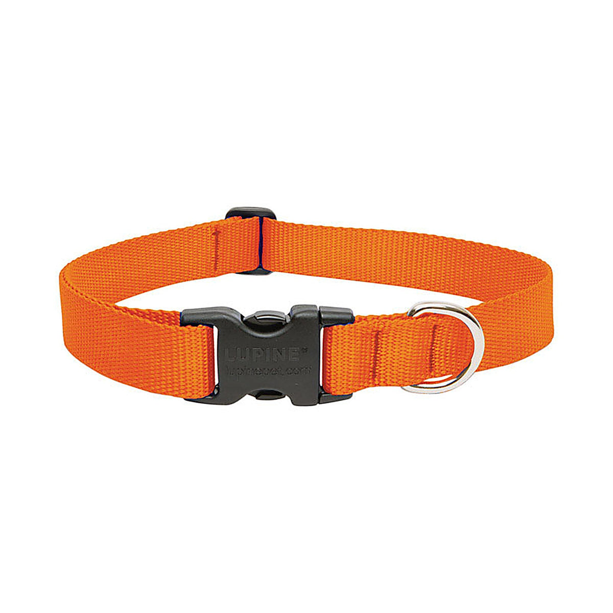 Lupine - 52552 - Pet Basic Solids Blaze Orange Blaze Orange Nylon Dog Adjustable Collar