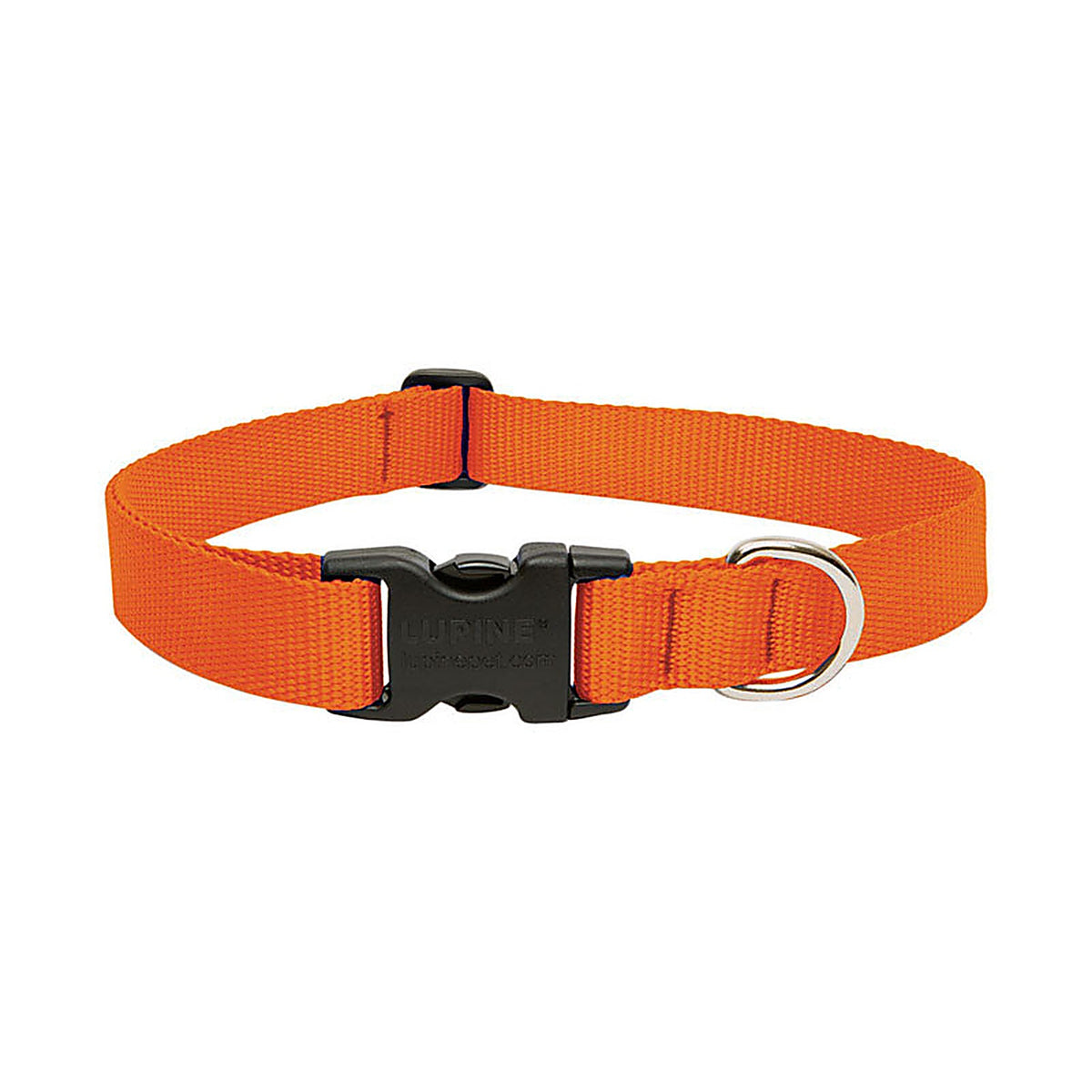 Lupine - 52553 - Pet Basic Solids Blaze Orange Blaze Orange Nylon Dog Adjustable Collar