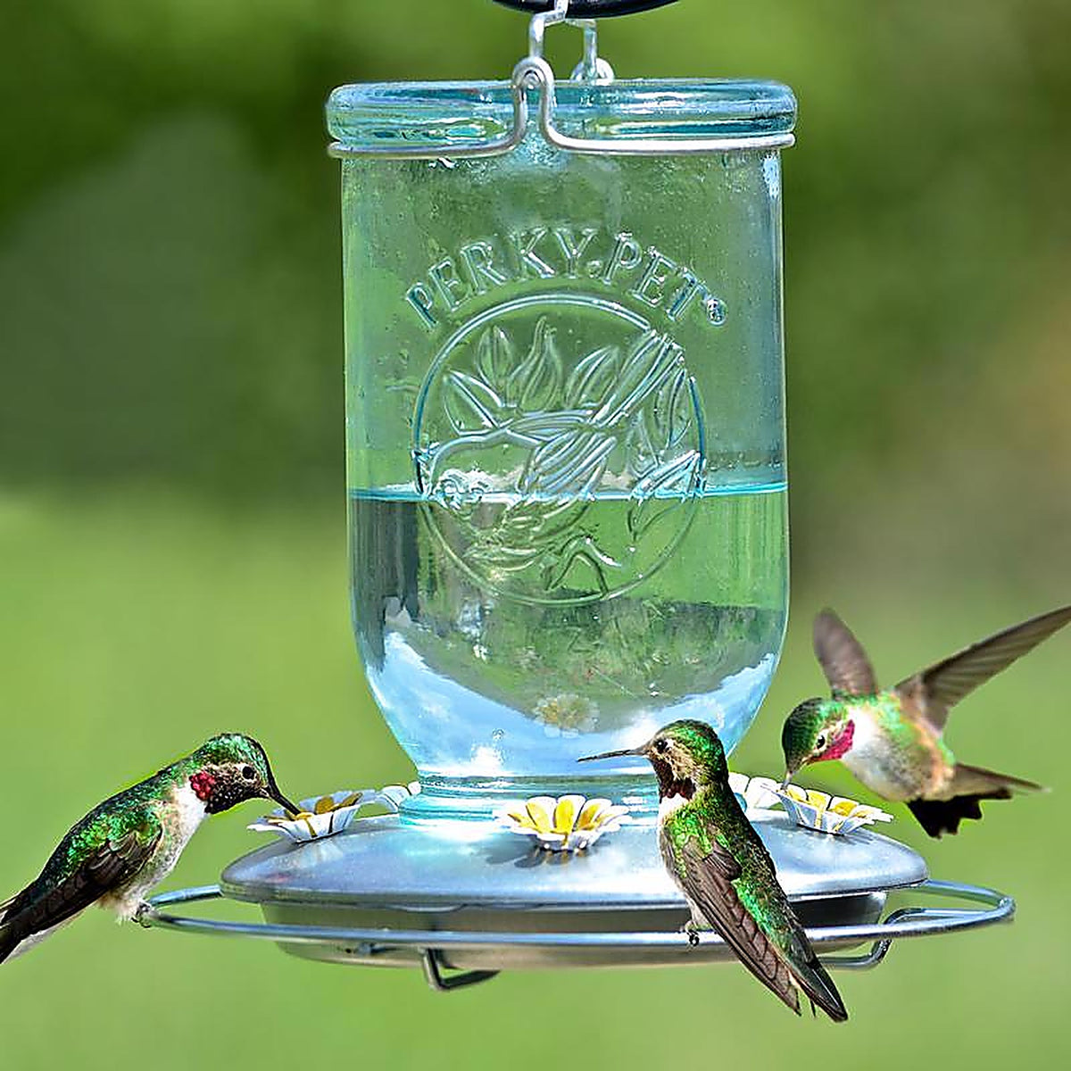 Perky-Pet - 785 - Hummingbird 32 oz. Glass Mason Jar Nectar Feeder 5 ports