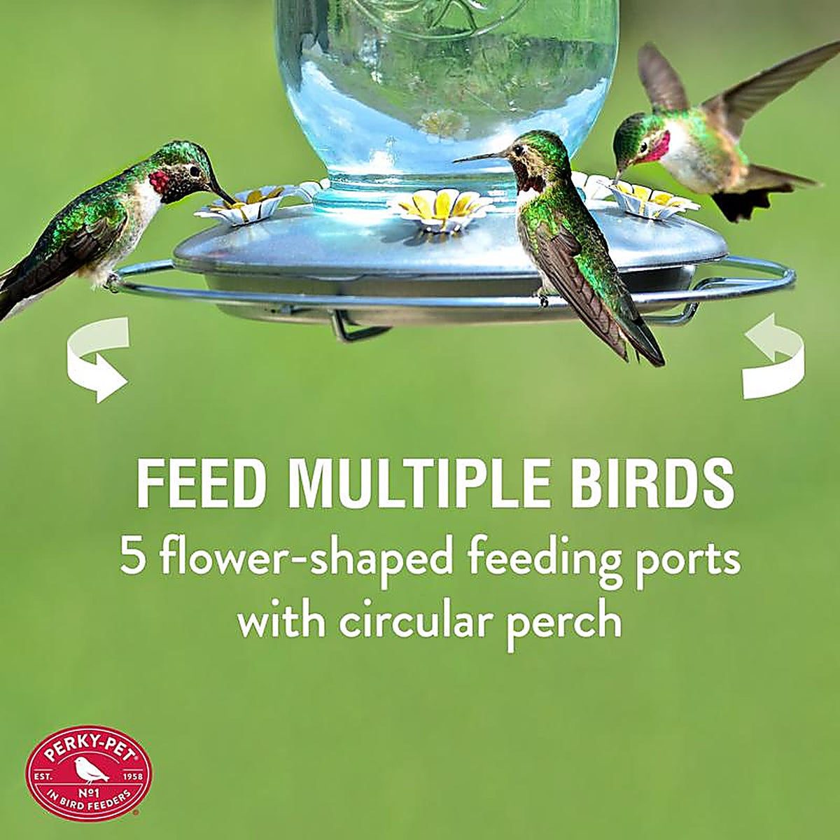 Perky-Pet - 785 - Hummingbird 32 oz. Glass Mason Jar Nectar Feeder 5 ports