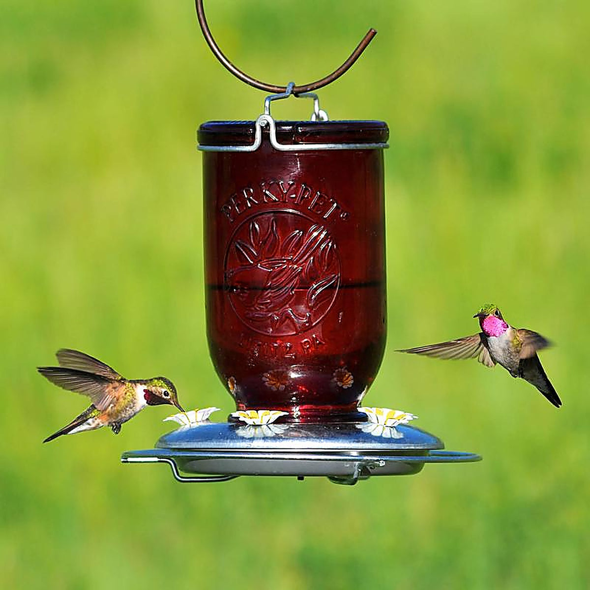 Perky-Pet - 786 - Hummingbird 32 oz. Glass Nectar Feeder 5 ports