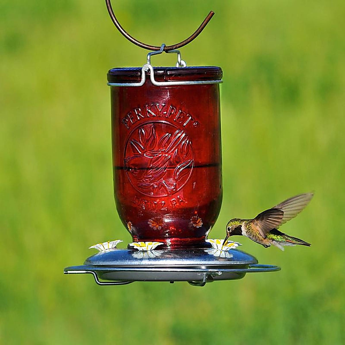 Perky-Pet - 786 - Hummingbird 32 oz. Glass Nectar Feeder 5 ports