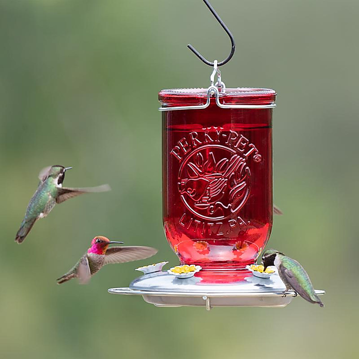 Perky-Pet - 786 - Hummingbird 32 oz. Glass Nectar Feeder 5 ports