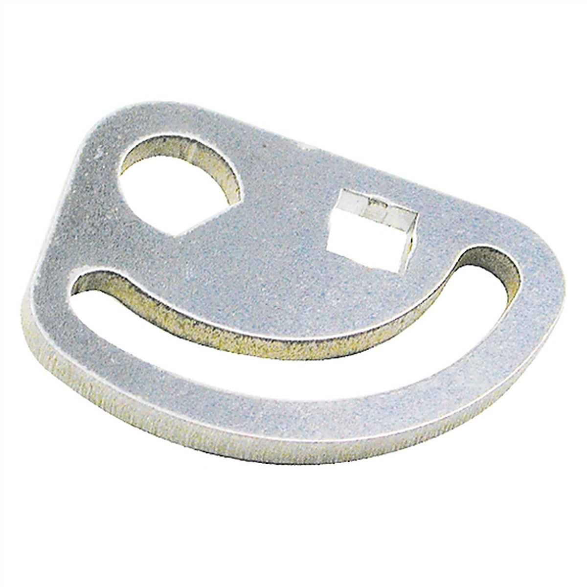SPC - 86370 - GM Van CAS/CAM Plate (1)