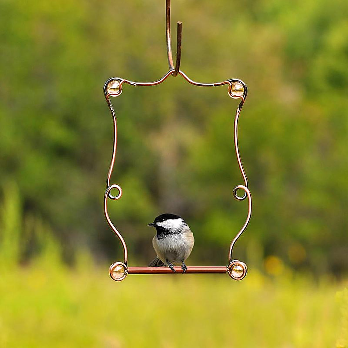 Perky-Pet - 90 - 7.25 in. H x 5 in. W Hummingbird Swing