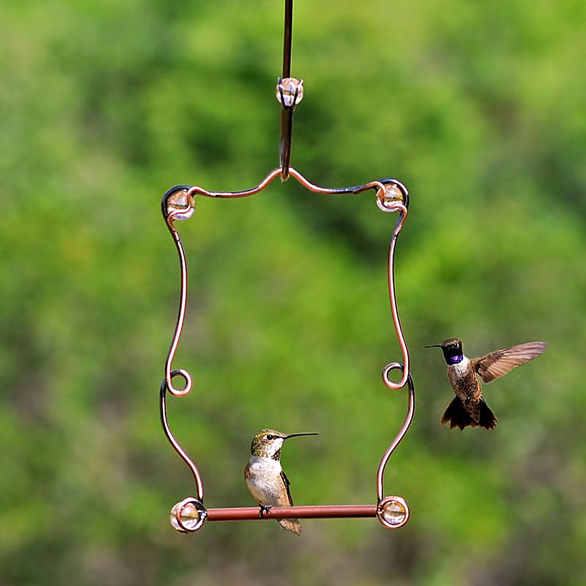 Perky-Pet - 90 - 7.25 in. H x 5 in. W Hummingbird Swing