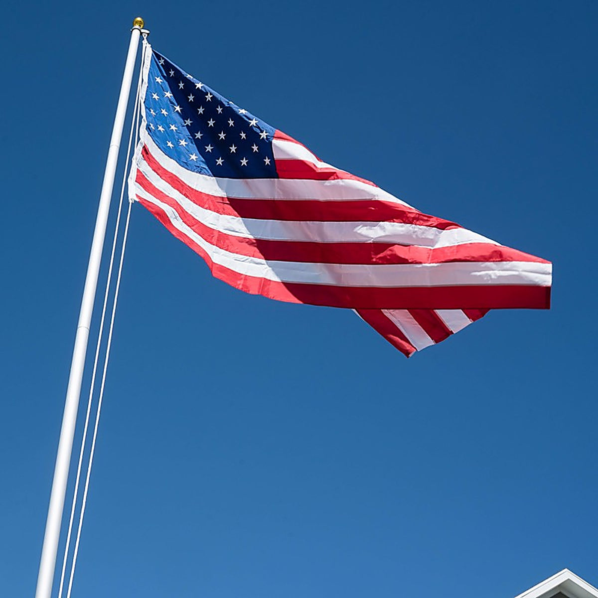 Valley Forge - US5PN - American Flag 60 in. H X 96 in. W