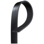 Gates - 8K810AP - Serpentine Belt