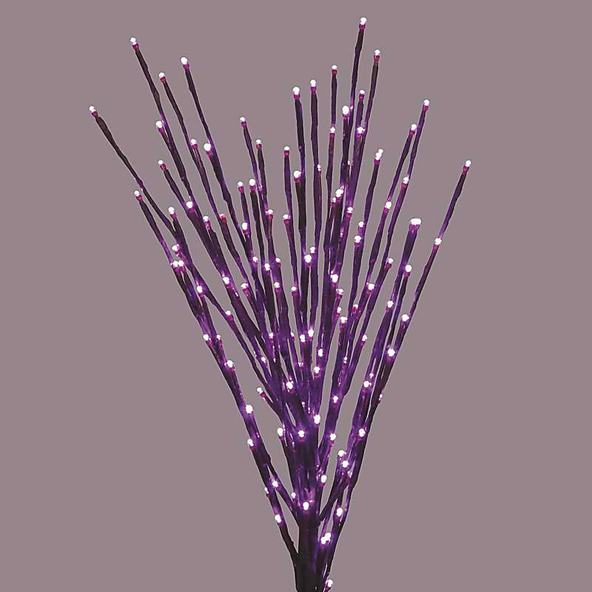 Celebrations - LBST100BPLTWA - Halloween Purple 32 in. LED Prelit Burst Halloween Decor