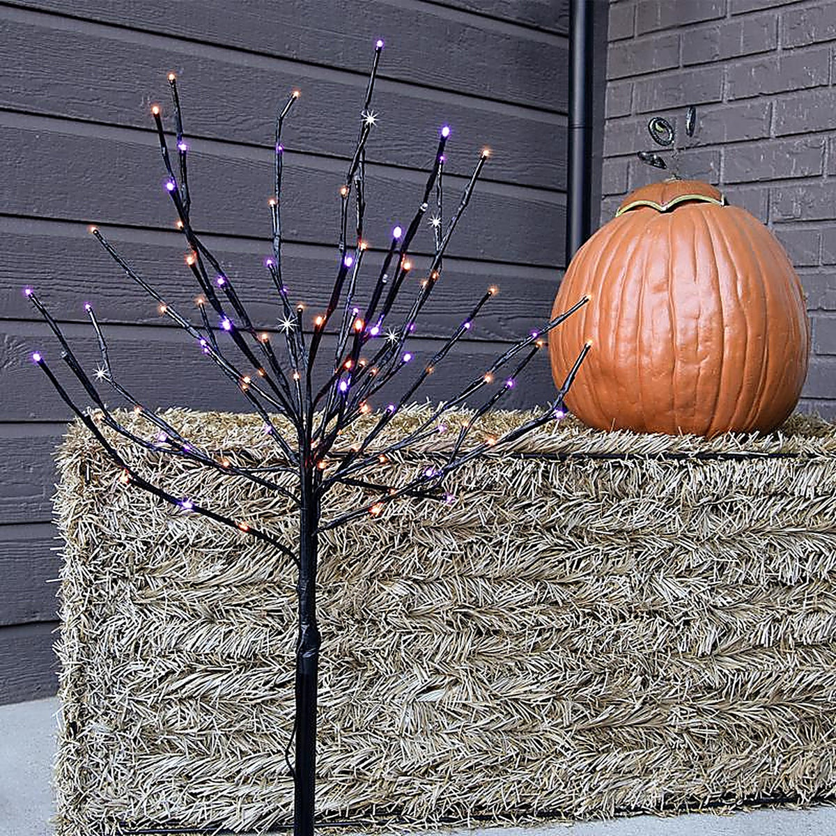 Celebrations - LBST100BPLORTWA - Halloween LED Prelit Burst Halloween Decor