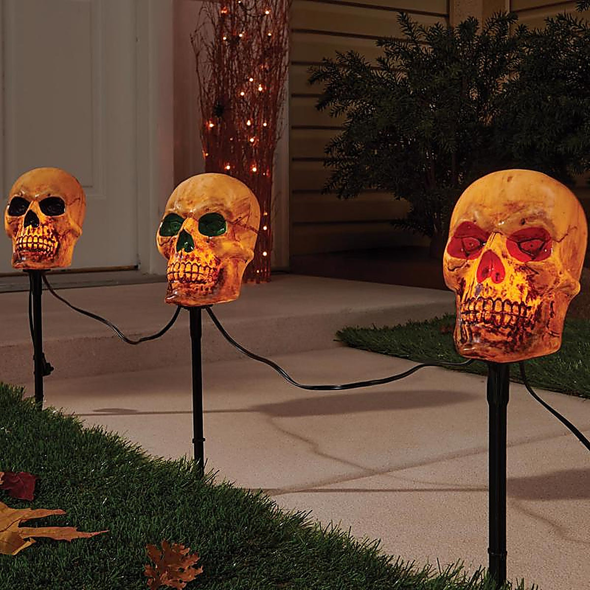 Celebrations - 37231-71 - Clear 6 in. Incandescent Halloween Skull Pathway Decor