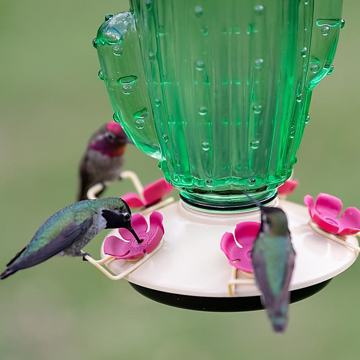 Perky-Pet - 9111-2 - Hummingbird 32 oz Glass/Metal Cactus Top-Fill Bird Feeder 5 ports