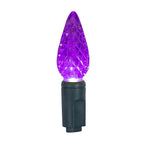 Celebrations - C650MUA - Platinum LED C6 Multicolored 50 ct String Christmas Lights 25 ft.
