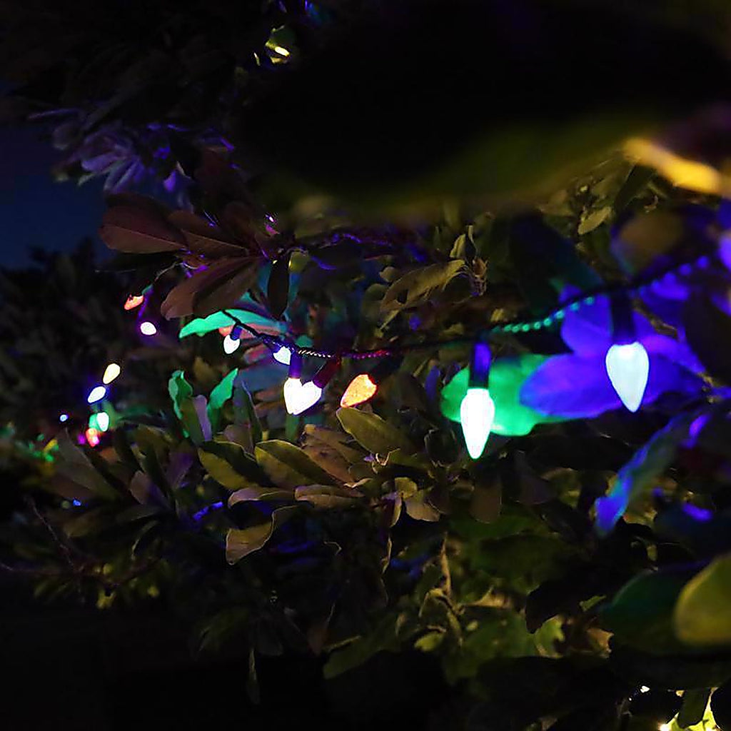 Celebrations - C650MUA - Platinum LED C6 Multicolored 50 ct String Christmas Lights 25 ft.