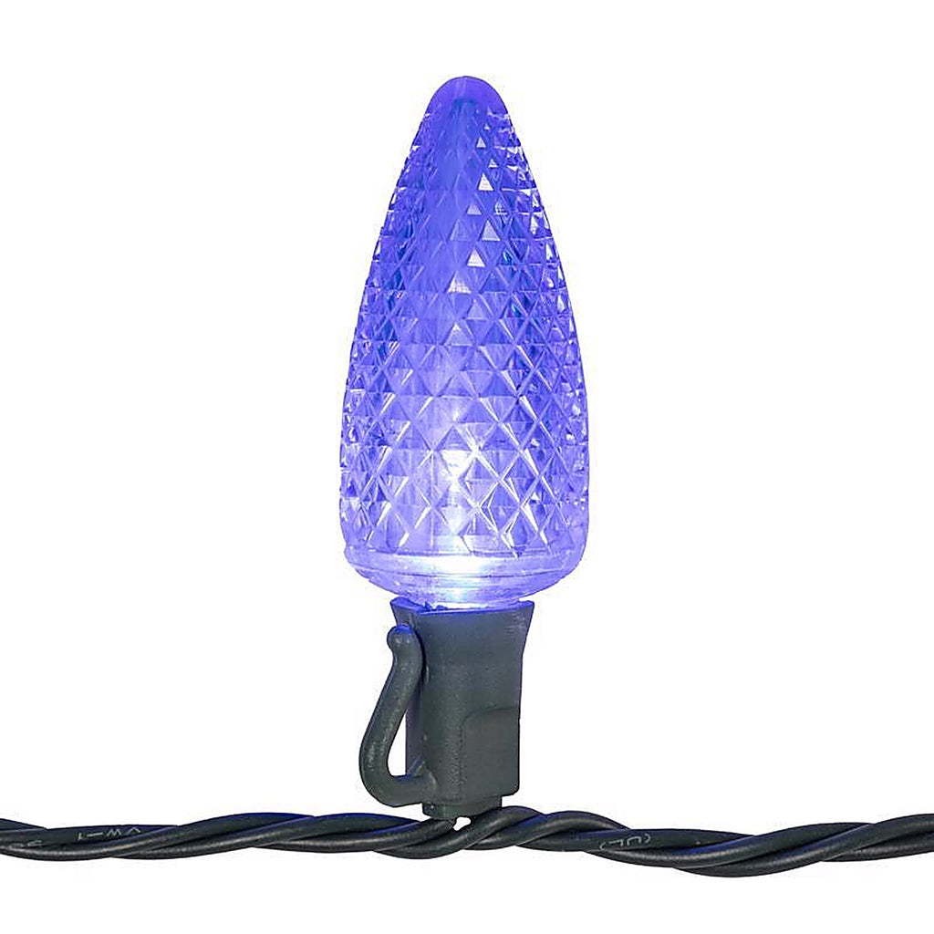 Celebrations - C925FMUSA - Platinum LED C9 Multicolored 25 ct String Christmas Lights 25 ft.
