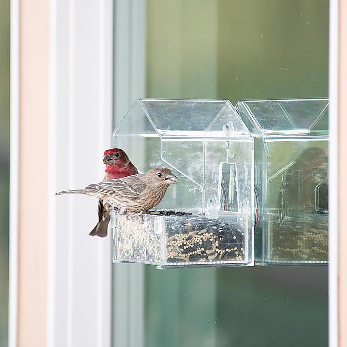 Perky-Pet - 345 - Wild Bird 0.5 lb Plastic Window Bird Feeder 1 ports