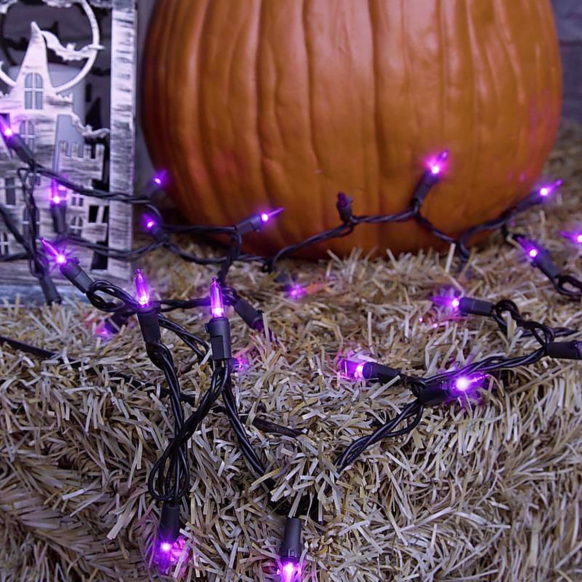 Celebrations - T5100PLS3A - Purple 100 ct LED Mini Halloween String Lights