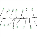 Celebrations - BSCCX250GRA - LED Big Seed Cluster Green 250 ct String Christmas Lights