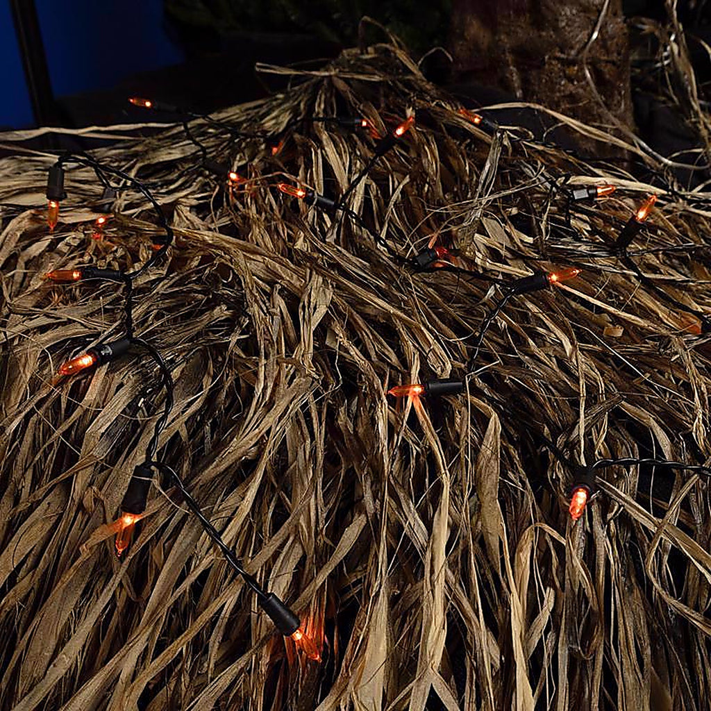Celebrations - T5100OR3A - Orange 100 ct LED Mini Halloween String Lights