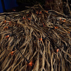 Celebrations - T5100OR3A - Orange 100 ct LED Mini Halloween String Lights