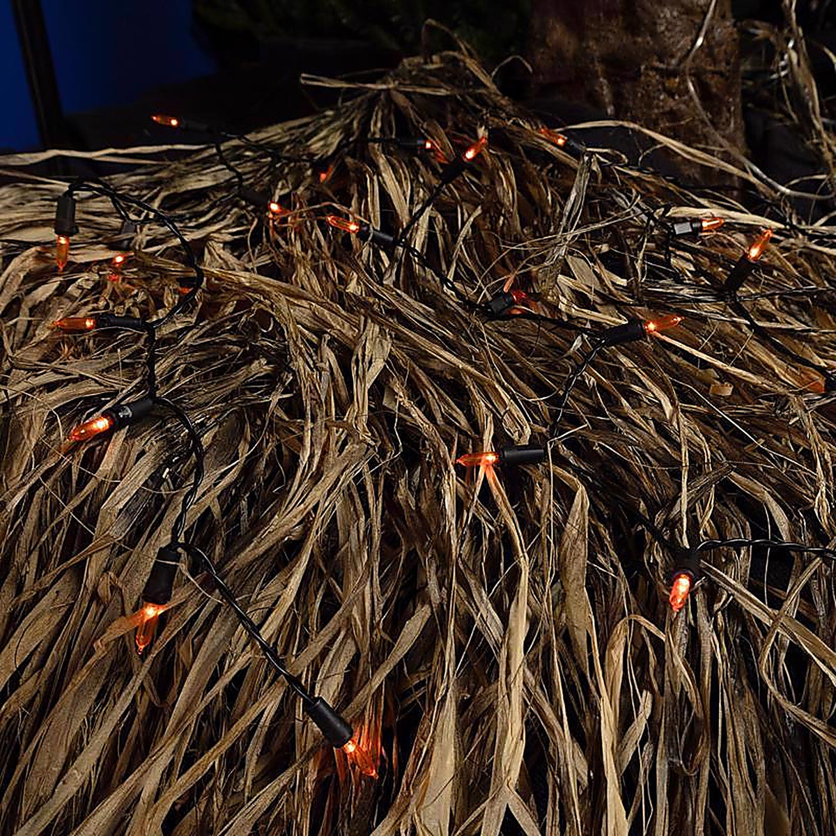 Celebrations - T5100OR3A - Orange 100 ct LED Mini Halloween String Lights