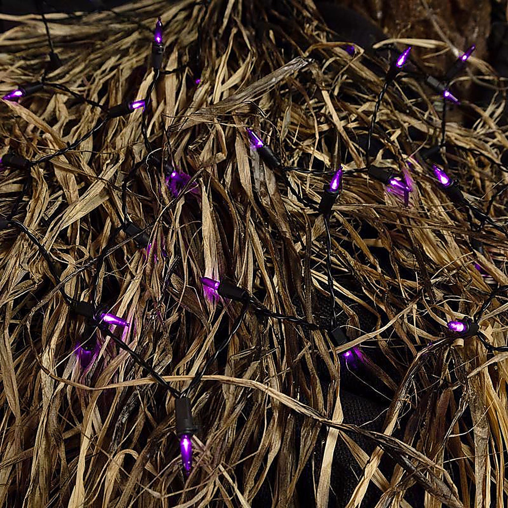 Celebrations - T5100PL3A - Purple 100 ct LED Mini Halloween String Lights