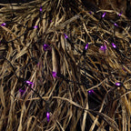 Celebrations - T5100PL3A - Purple 100 ct LED Mini Halloween String Lights