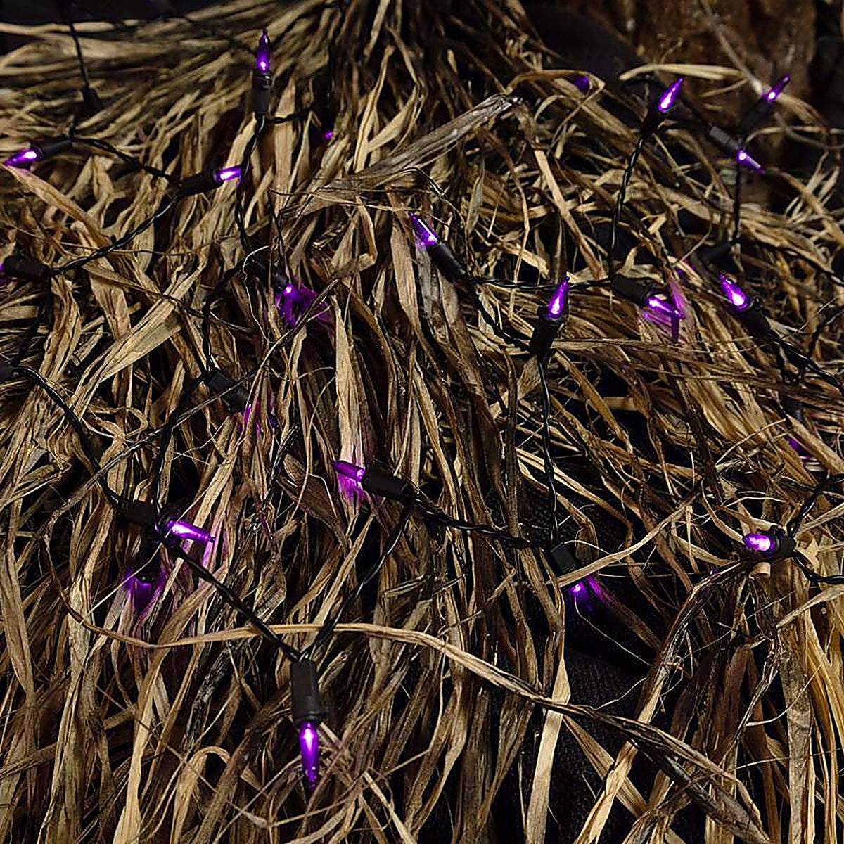 Celebrations - T5100PL3A - Purple 100 ct LED Mini Halloween String Lights
