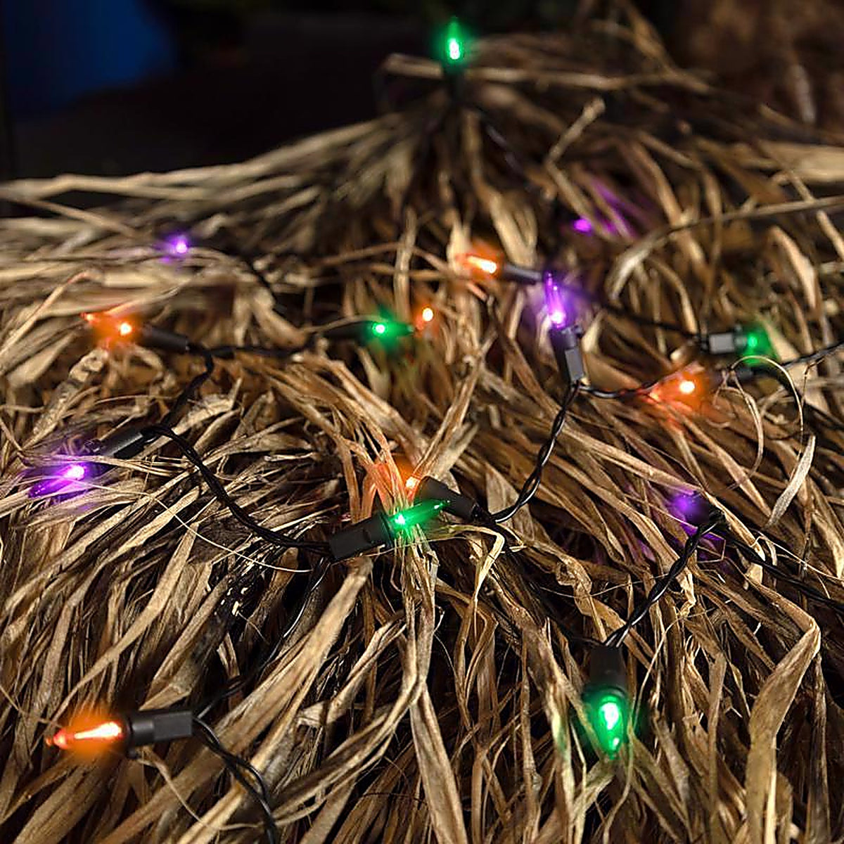 Celebrations - T5100HW3A - Multicolored 100 ct LED Mini Halloween String Lights