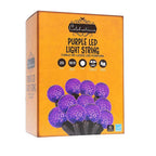 Celebrations - G4025PL8A - Purple 25 ct LED G40 Halloween String Lights