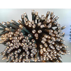 Celebrations - X170331-88-W - LED Clear/Warm White 100 count String Christmas Lights 19.6 ft.