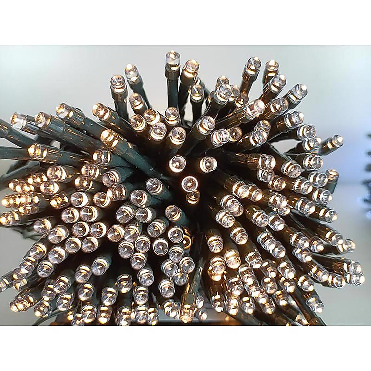 Celebrations - X170331-88-W - LED Clear/Warm White 100 count String Christmas Lights 19.6 ft.