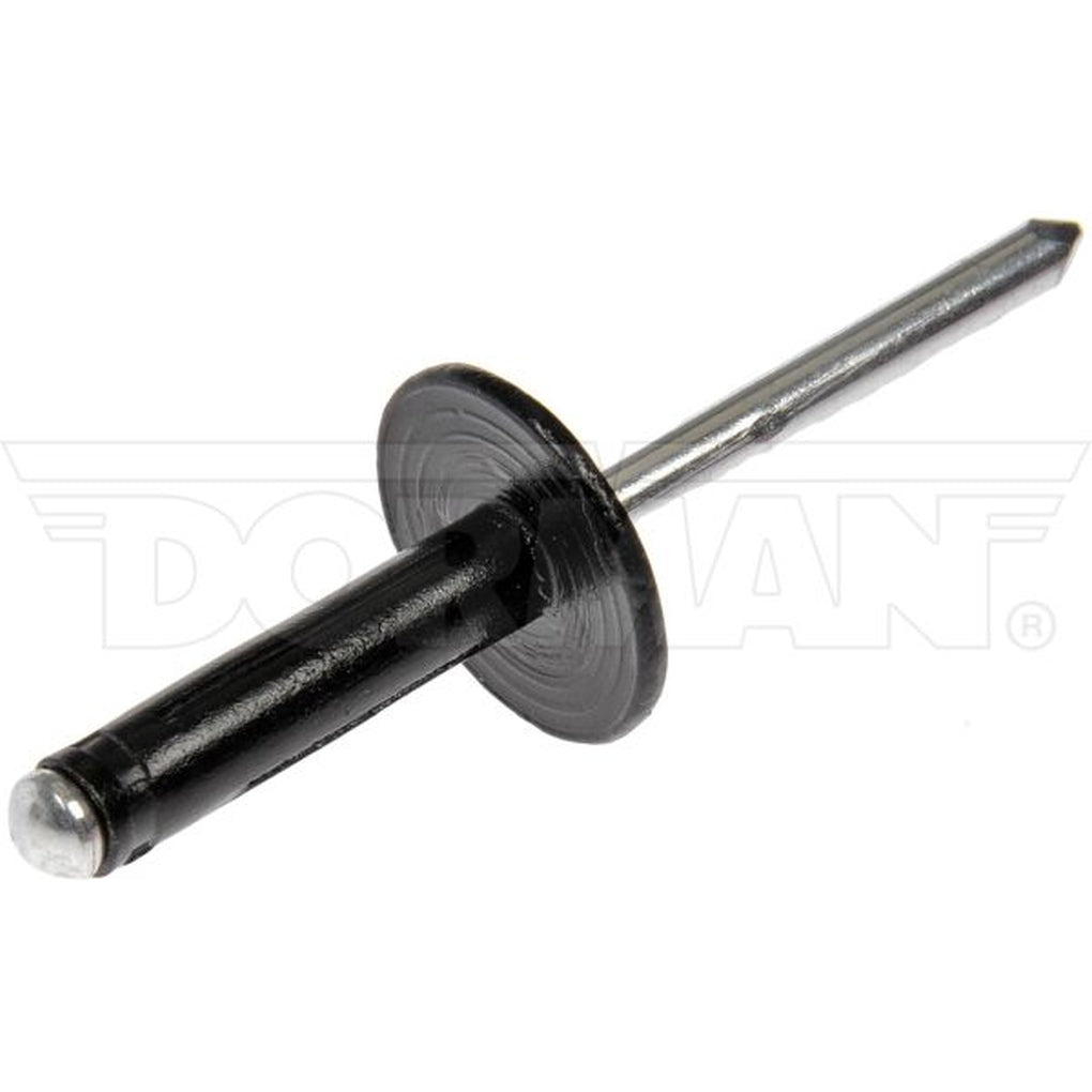 Dorman|963-205|Blind Rivet Retainer-GM-Diameter 3/16 In.