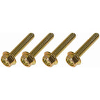 Dorman - 980-230 - Cap Screw-Flanged HEX Head-Class 10.9- M6-1.0 X 30Mm