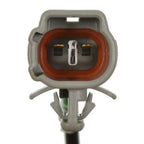 Standard - ALH138 - ABS Wheel Speed Sensor Wire Harness