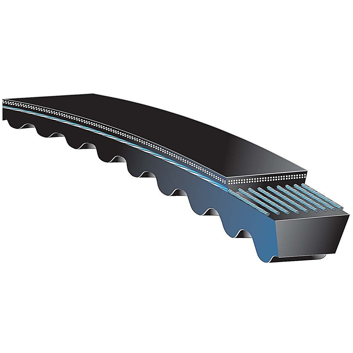Gates - AX53 - Accessory Drive Belt