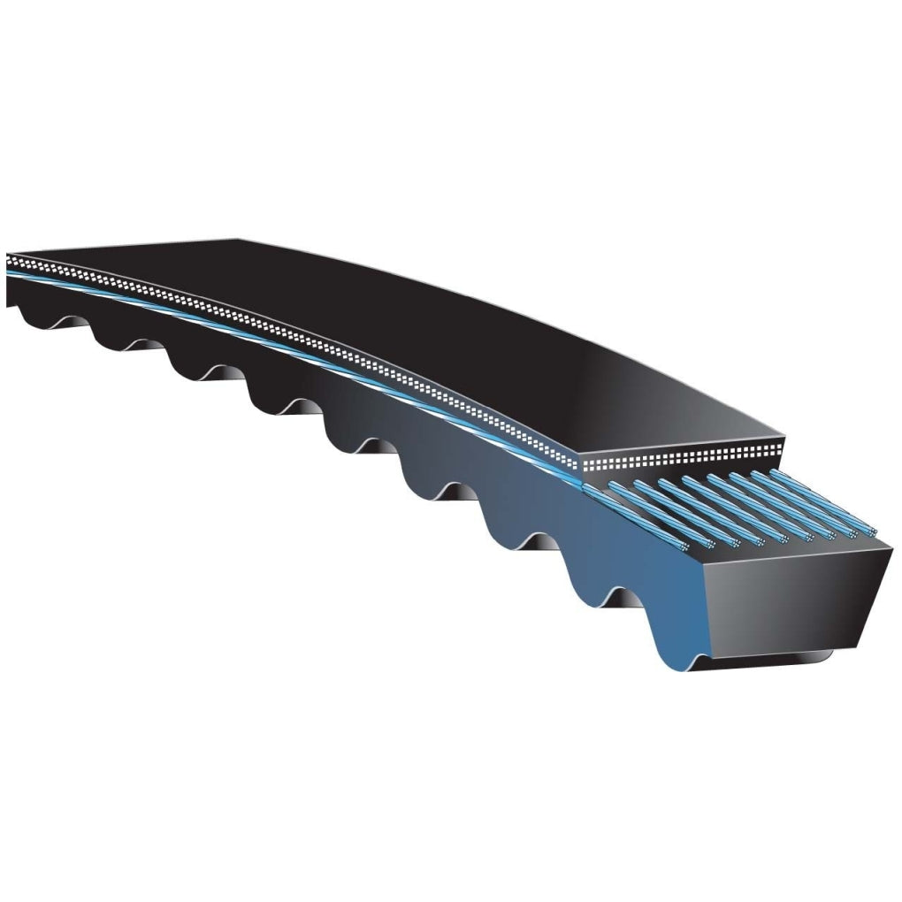 Gates - AX81 - Accessory Drive Belt