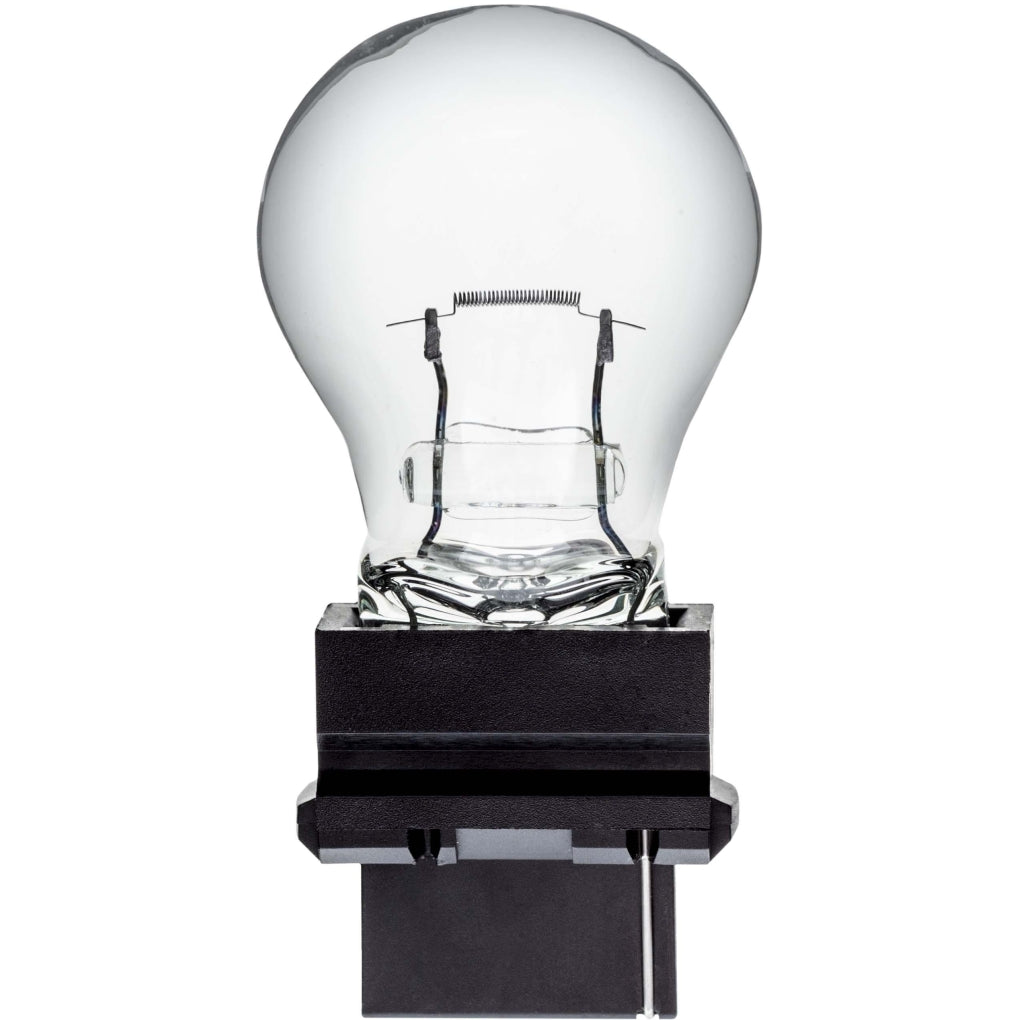 Auveco - B3156 - Industry Standard 3156 Bulb