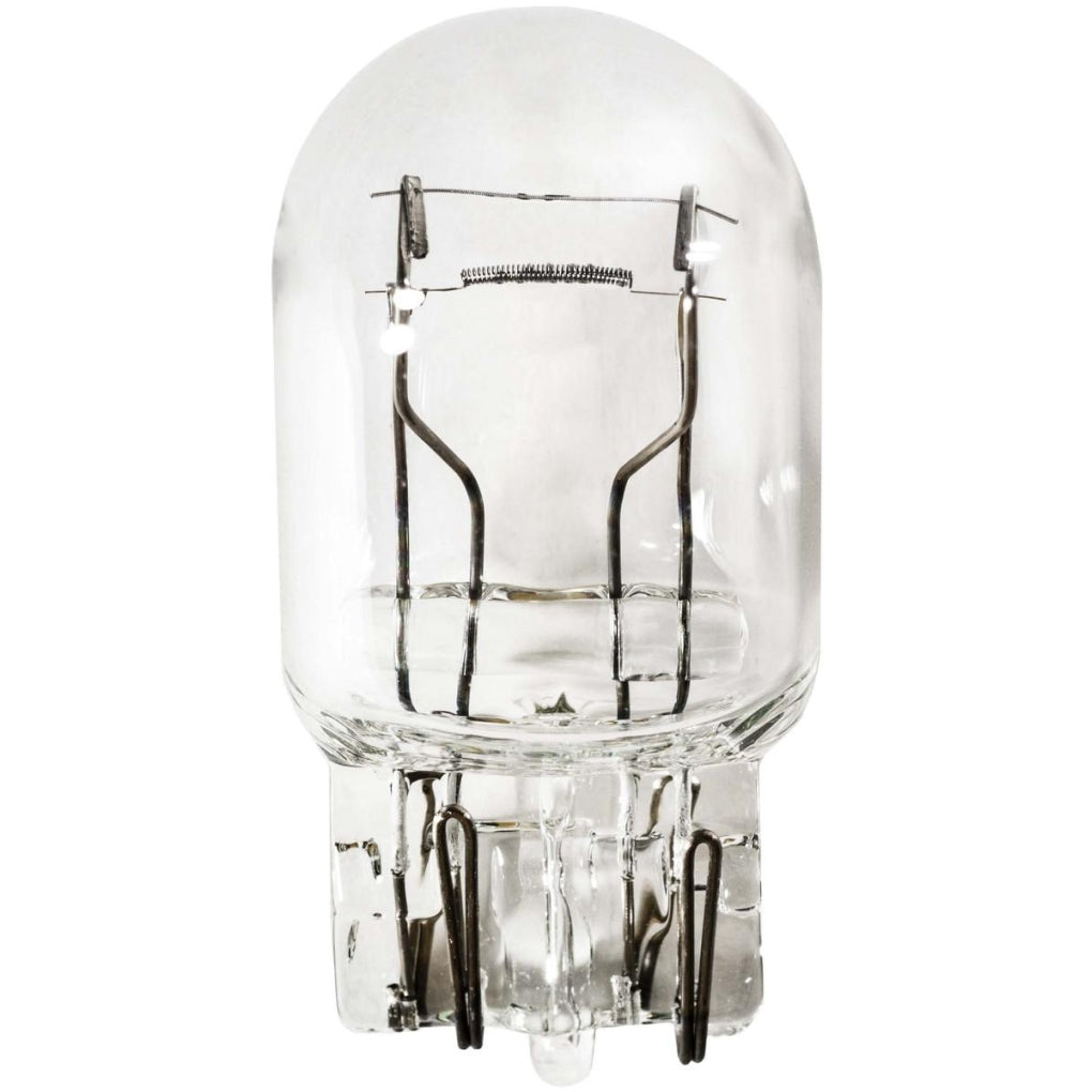Auveco - B7443 - Industry Standard 7443 Bulb