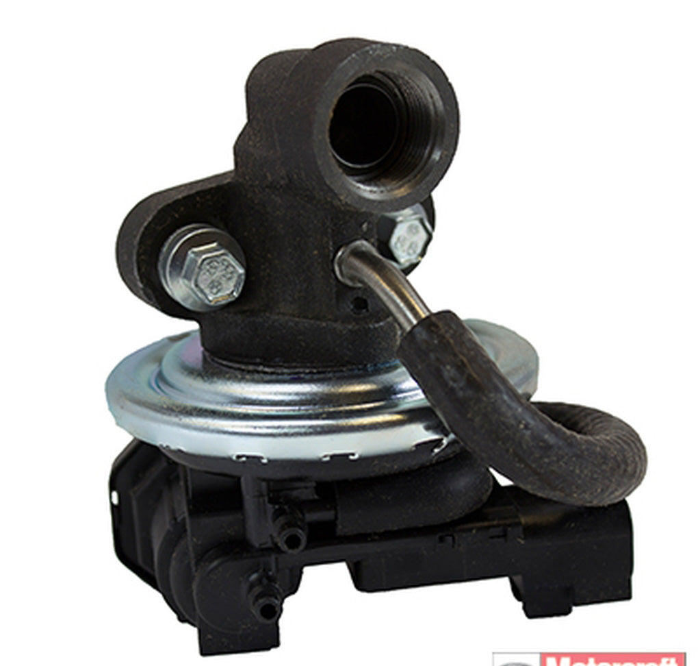 Motorcraft - CX2160 - Valve - Exhaust