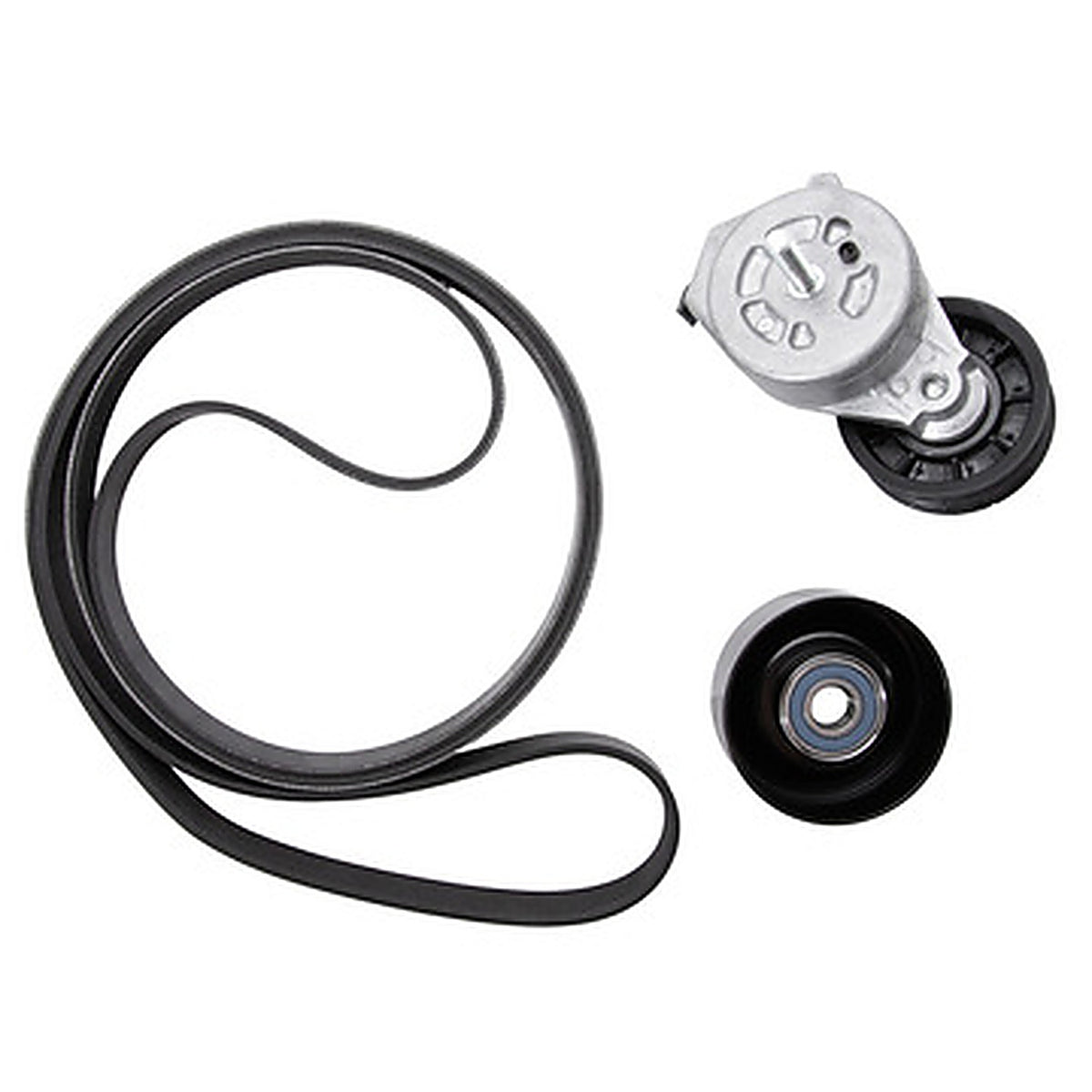 Dayco - D70973K1 - Demanding Drive Kit, Dayco