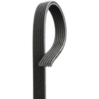 Gates - DK060718 - Micro-V Belt - Dual Sided