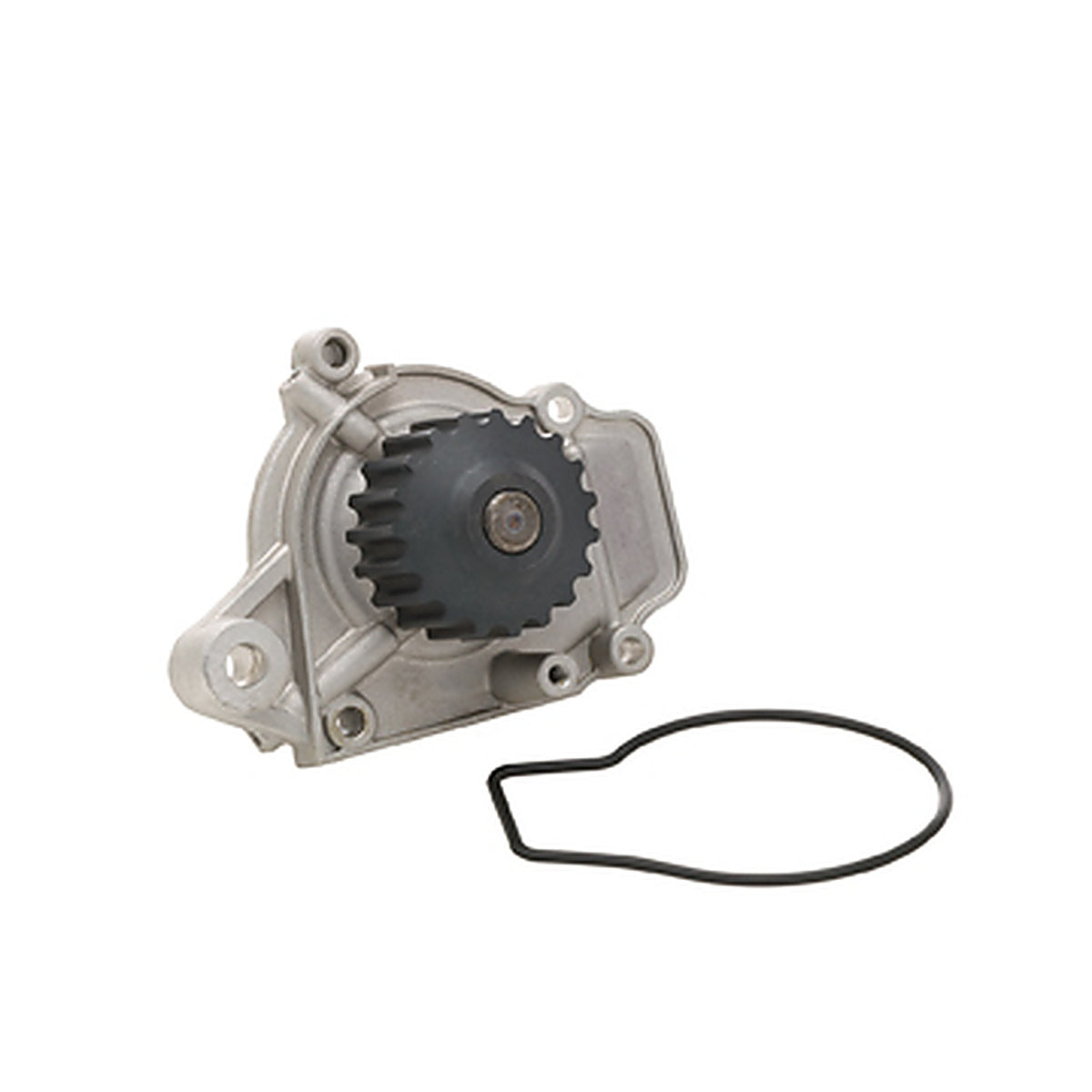 Dayco - DP019 - Water Pump-Auto/Light Truck, Dayco