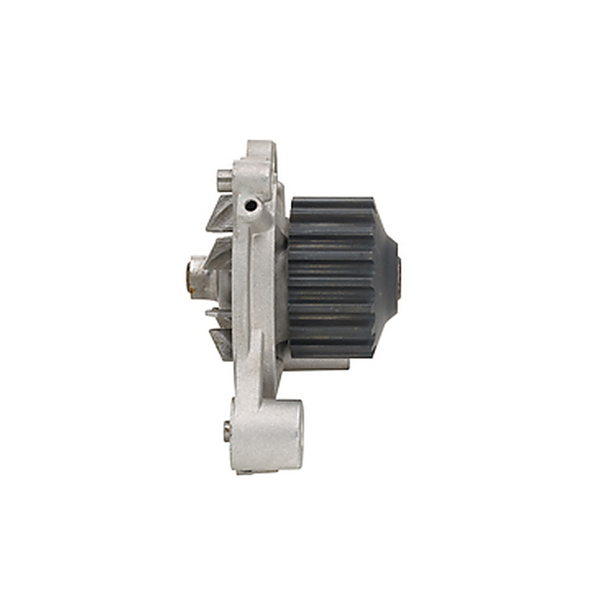 Dayco - DP019 - Water Pump-Auto/Light Truck, Dayco