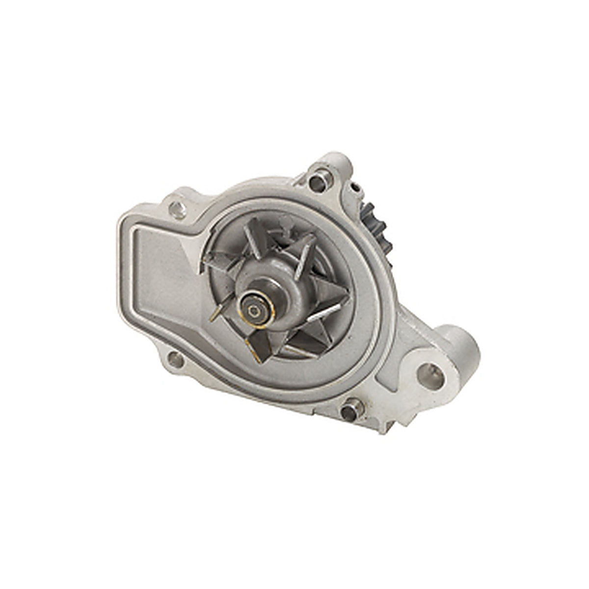 Dayco - DP019 - Water Pump-Auto/Light Truck, Dayco