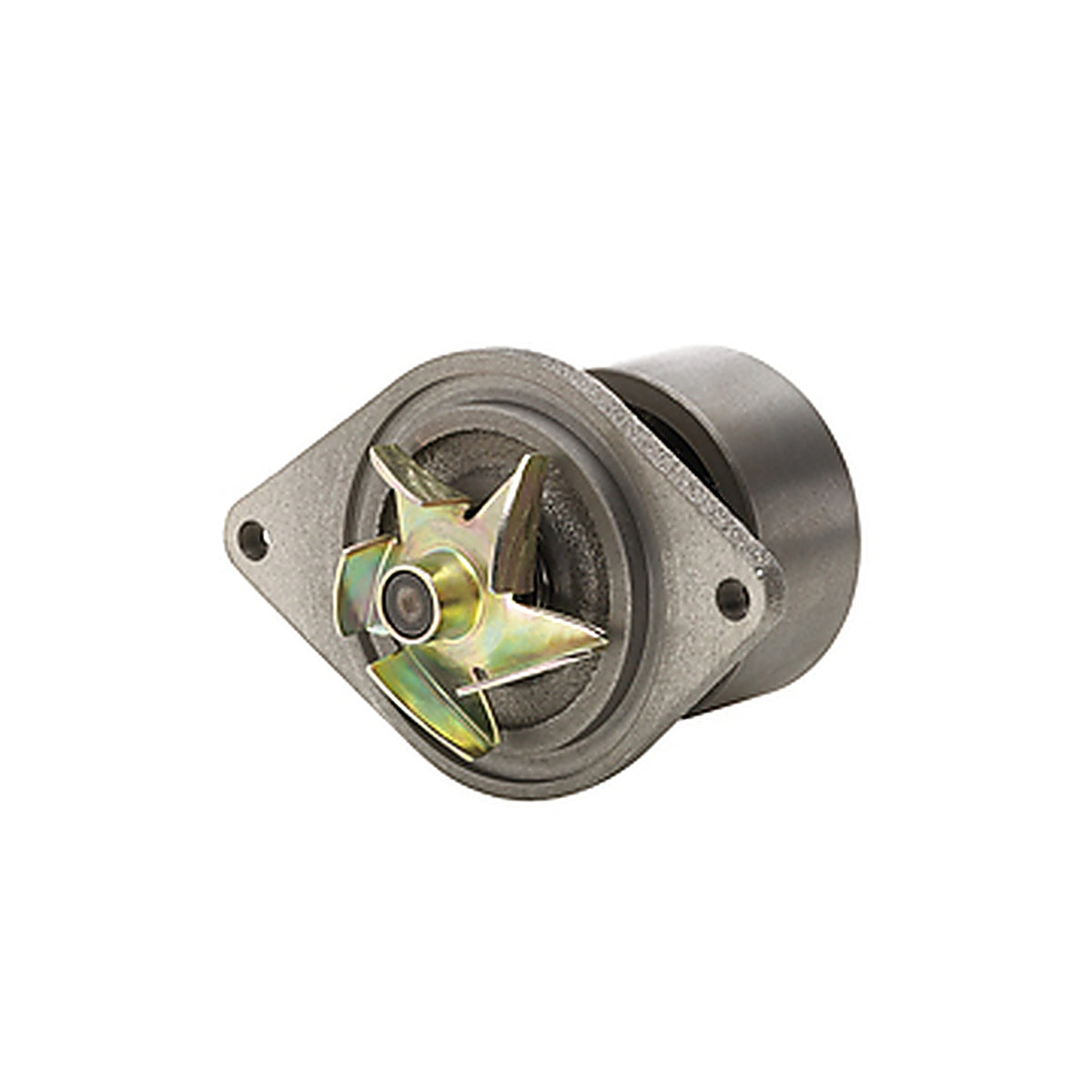 Dayco - DP1000 - Water Pump-Heavy Duty, Dayco