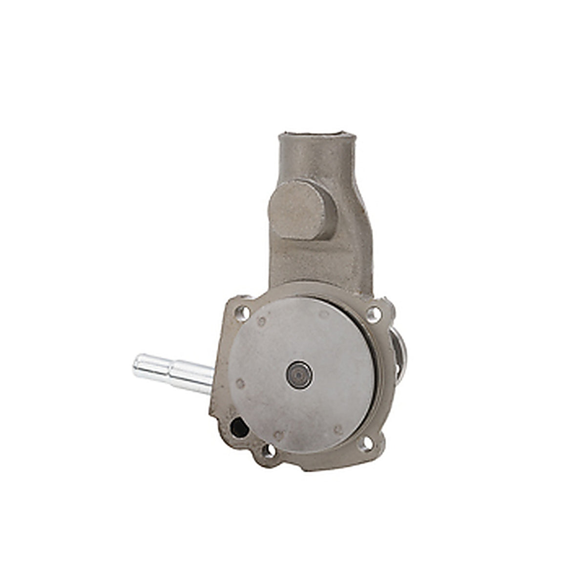 Dayco - DP1021 - Water Pump-Auto/Light Truck, Dayco